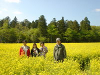 �؂̉Ԕ��ŉƑ��ʐ^�B